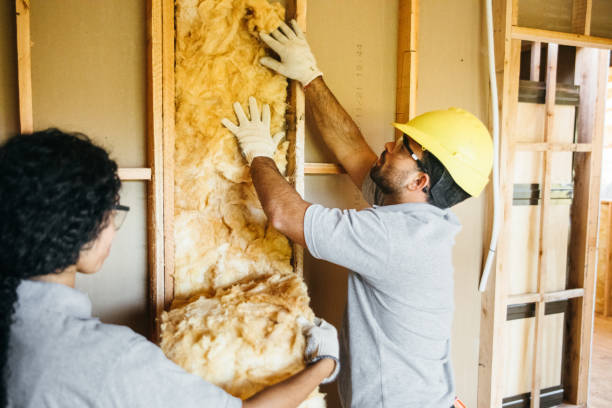 Best Eco-Friendly or Green Insulation Solutions  in Coronita, CA